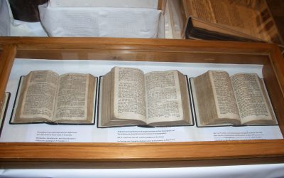 Die Reformation in der Pfalz